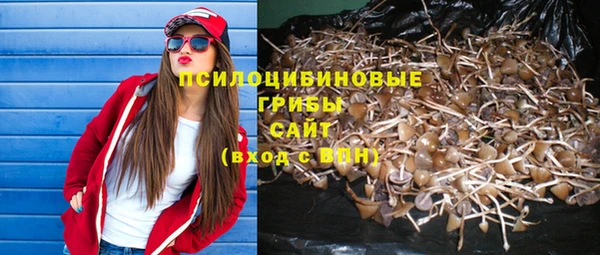 марки nbome Верея