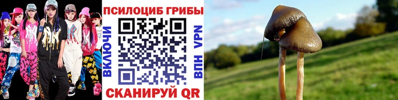 Галлюциногенные грибы GOLDEN TEACHER  как найти   Ковдор 