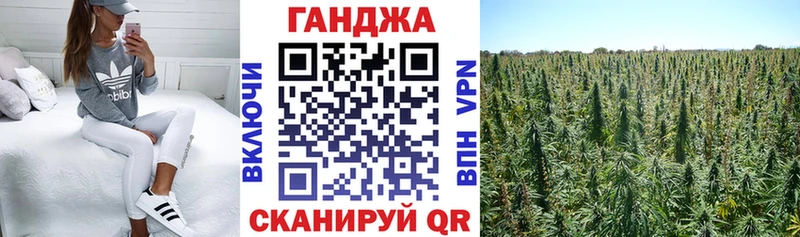Шишки марихуана марихуана  Ковдор 